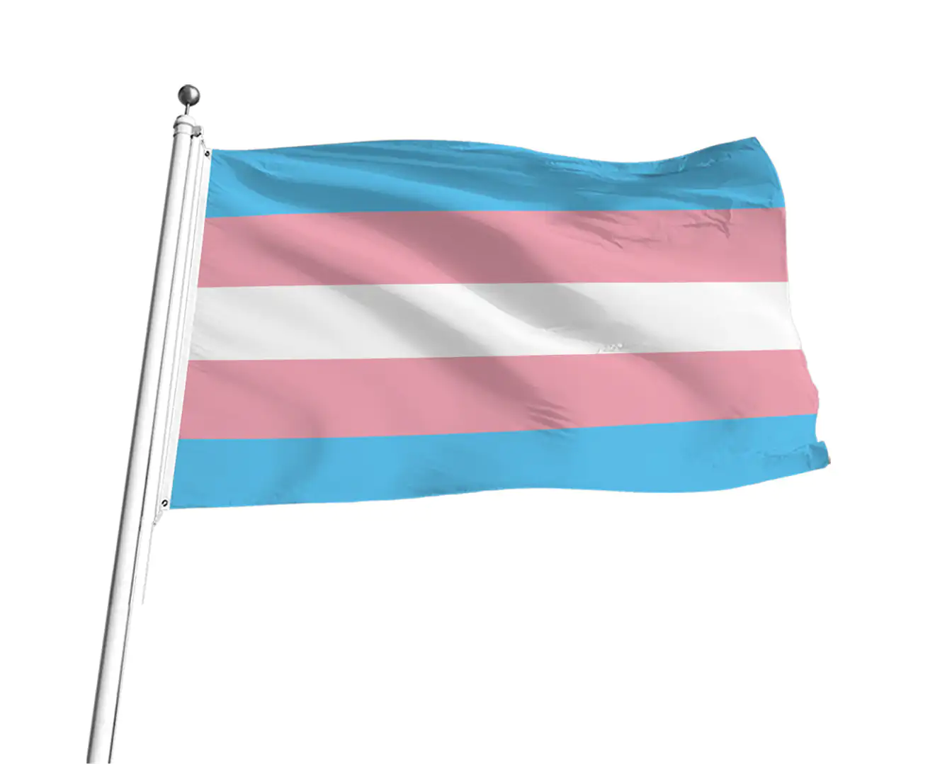 90*150Cm Transgender Flag, Double Gender Flag, Pan-Gender Banner with 2 ...