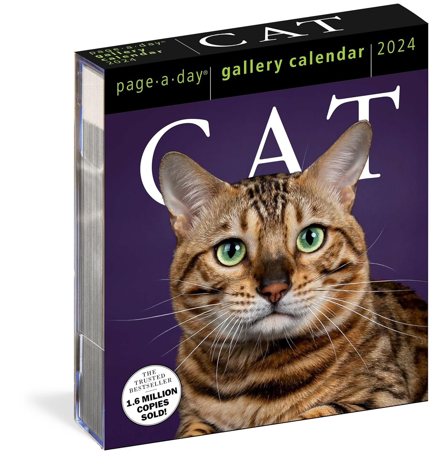 Cat PageADay Gallery Calendar 2024 a Delightful Gallery of Cats for