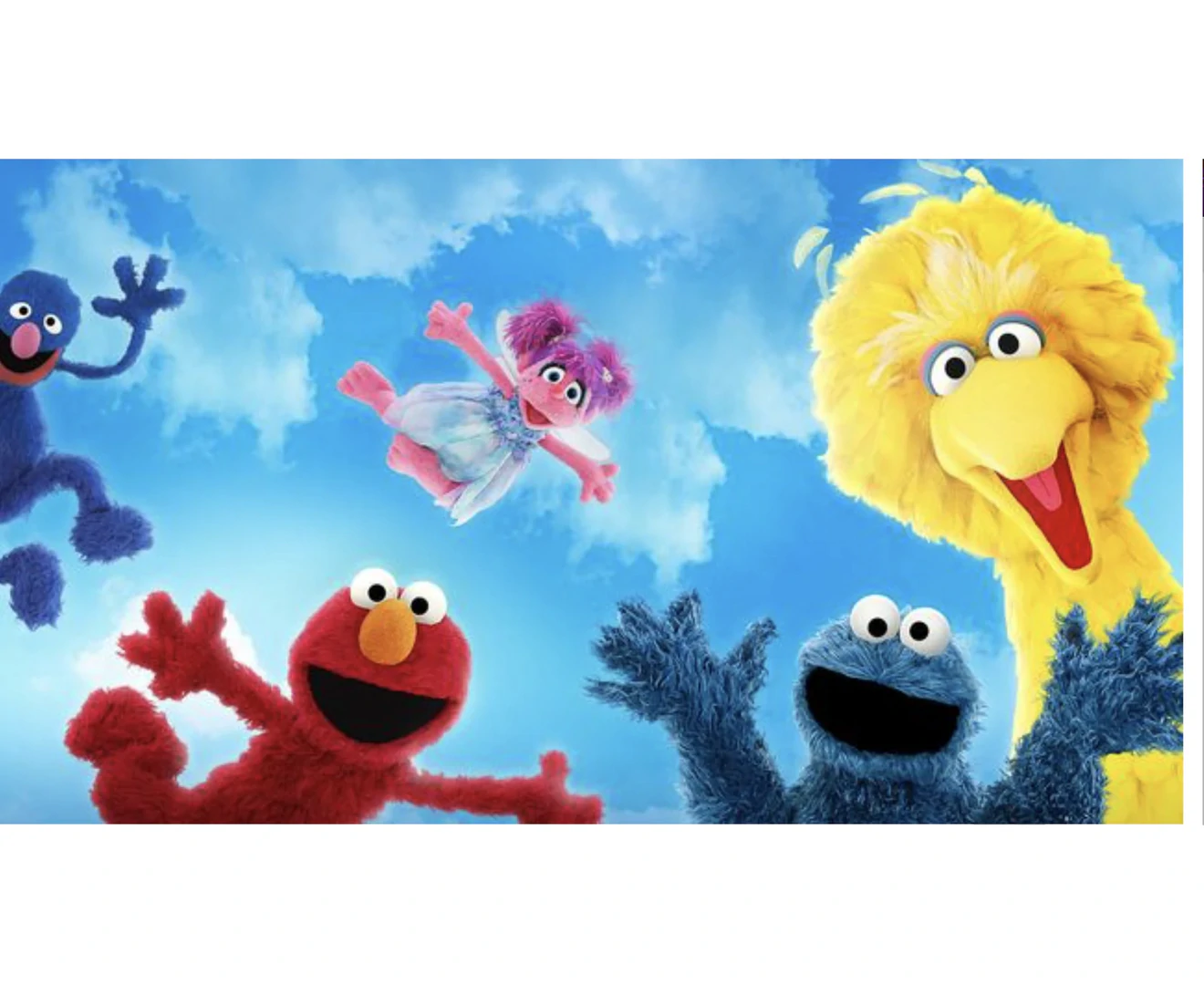 SESAME STREET SKY CLOUDS BIG BIRD ELMO COOKIE MONSTER BIRTHDAY PARTY ...