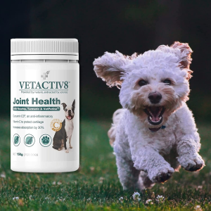 VETACTIV8 Joint Health with Rosehip, Turmeric & Vetperine | Dog Health Supplement | Contains C3, an Anti-Inflammatory | Inflammation & Pain Support | Assists Immunity & Wellbeing | Increases Absorption by 30% (150G)