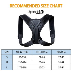 Bay Breeze Posture Corrector for Women Back Brace for Men Neck Shoulder Brace Upper Back Pain Relief, Support Belt Harness Spine Corrector Neck Hump Shoulder Stabilizer Chest Harness (Large)