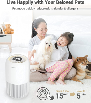 HEPA Air Purifier – Dreamegg Air Purifiers for Bedroom Allergies and Pets, 4-In-1 True HEPA & Activated Carbon Filter, Quiet 360° Air Intake Cleaner with Pet Mode Night Light for Home Smoker Office