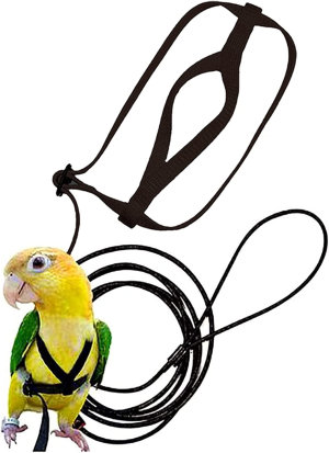 Bird Harness, Leash Bird, Parrot Harness and Parrot Leash Supplies, Bird Nylon Rope, Adjustable Training Design Anti-Bite, Suitable for Parrot,Conures, Birds (Black)