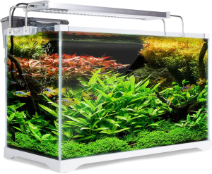 Dynamic Power Starfire Glass Fish Tank 16L (AQ-FT16L)