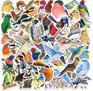 Watercolor Bird Stickers 50 Pack Laptop Stickers,Waterproof Stickers for Water Bottles,Skateboard,Diary Scrapbook,Phone-Graffiti Stickers Pack for Teens Girls Kids Adults(Cute Bird Stickers)