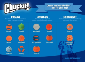 Chuckit! Whistler Ball, Assorted Orange & Blue, Medium 2.5″