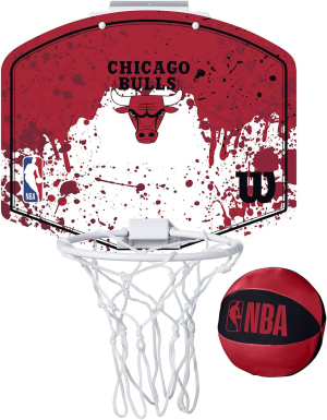 Wilson NBA Team Mini Hoops