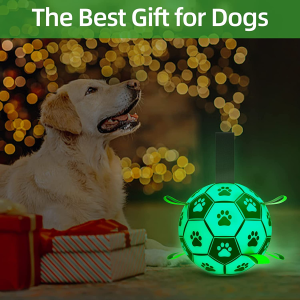 QDAN Glow in the Dark Dog Toys Soccer Ball with Straps, Interactive Dog Toys Puppy Birthday Gifts, Dog Tug Water Toy, Indoor/Outdoor Light up Dog Balls for Small & Medium Dogs（8 Inch Size 3）