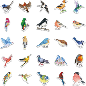 Watercolor Bird Stickers 50 Pack Laptop Stickers,Waterproof Stickers for Water Bottles,Skateboard,Diary Scrapbook,Phone-Graffiti Stickers Pack for Teens Girls Kids Adults(Cute Bird Stickers)