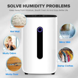 ADVWIN Air Dehumidifiers, Removes up to 25 L/Day of Moisture, 6500ml Water Tank, Large Dehumidifier Suitable for Bedroom, Bathroom, Wardrobe Room, Office, White