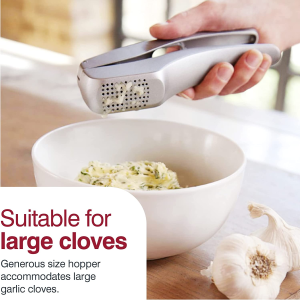 Zyliss 12084 1402 Garlic Press with Cleaner, Silver