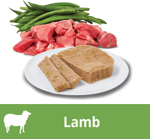 OPTIMUM DOG Grain Free Wet Dog Food Lamb & Green Beans Adult, 85G (Pack of 14)