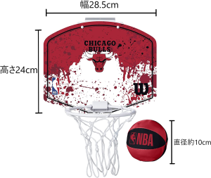 Wilson NBA Team Mini Hoops