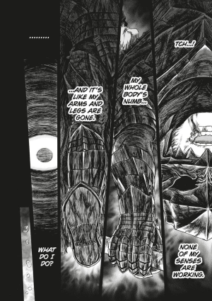 Berserk Deluxe Volume 13