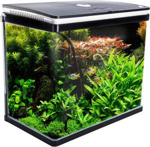 Dynamic Power Starfire Glass Fish Tank 16L (AQ-FT16L)