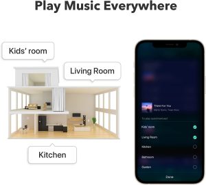 Wiim Pro Airplay 2 Receiver, Chromecast Audio, Wifi Multiroom Streamer, Works with Alexa, Siri and Google Assistant, Stream Hi-Res Audio from Spotify, Amazon Music, TIDAL and More