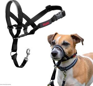 The Company of Animals 11220A Halti Headcollar, Black