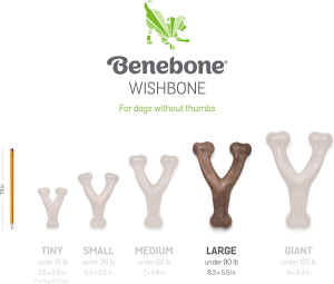 Benebone Wishbone Durable Dog Chew Toy for Aggressive Chewers, Real Peanut, Made in USA, Large
