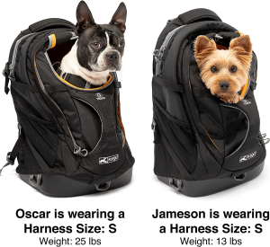 Kurgo Dog Carrier Backpack for Small Pets – Dogs & Cats | TSA Airline Approved | Cat | Hiking or Travel | Waterproof Bottom | G-Train | K9 Ruck Sack | Black (ZCR30-17136)