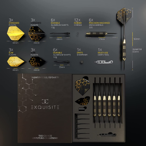 Cc-Exquisite Professional Darts Set – Customizable Configuration 6 Steel Tip Darts 18/22G and 20/24G |12 Aluminum Shafts 35/48Mm |12 Flights Standard/Slim |Darts Tool |Darts Sharpener and Case