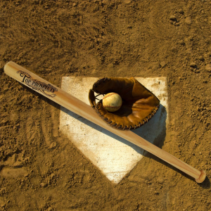 TOP PROSPECTS Baseball Bat Outdoor Natural Solid Wooden Baseball Bat