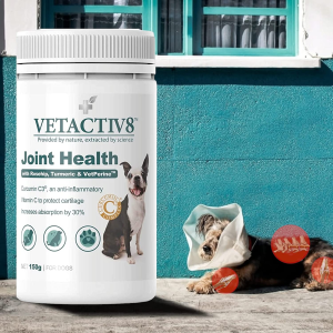 VETACTIV8 Joint Health with Rosehip, Turmeric & Vetperine | Dog Health Supplement | Contains C3, an Anti-Inflammatory | Inflammation & Pain Support | Assists Immunity & Wellbeing | Increases Absorption by 30% (150G)