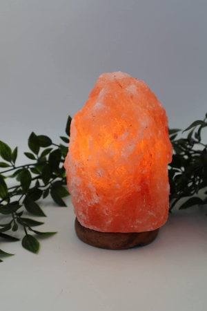 Himalayan Salt Lamp Natural Pink Crystal Rock Table Night Light Glow 1-2Kg