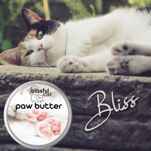 The Blissful Cat Paw Butter, 1-Ounce