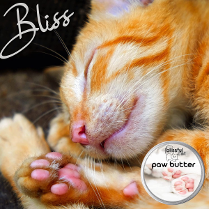 The Blissful Cat Paw Butter, 1-Ounce