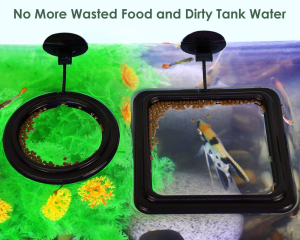 DS. DISTINCTIVE STYLE Fish Feeding Ring 2 Pieces Aquarium and Tank Floating Rings Food Feeders with Suction Cup (Black)