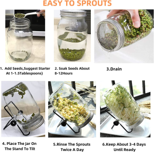 Sprouting Seeds Jar Kit-2Pack 32Oz Complete Mason Jar Sprouting Kit with Stainless Steel Sprouter Lids, Stand & Tray Organic Home Sprout Maker for Bean Broccoli Alfalfa Radish Sunflower Seed Grow Kit