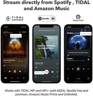 Wiim Pro Airplay 2 Receiver, Chromecast Audio, Wifi Multiroom Streamer, Works with Alexa, Siri and Google Assistant, Stream Hi-Res Audio from Spotify, Amazon Music, TIDAL and More