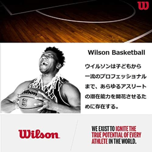 Wilson NBA Team Mini Hoops