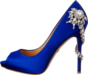 Badgley Mischka Women’S Royal Dress Pump