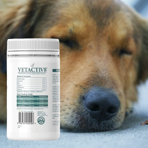 VETACTIV8 Joint Health with Rosehip, Turmeric & Vetperine | Dog Health Supplement | Contains C3, an Anti-Inflammatory | Inflammation & Pain Support | Assists Immunity & Wellbeing | Increases Absorption by 30% (150G)