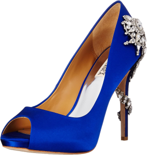 Badgley Mischka Women’S Royal Dress Pump