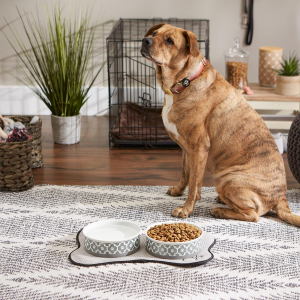 DII Bone Dry Lattice Ceramic Pet Bowl for Food & Water with Non-Skid Silicone Rim for Dogs and Cats (Large – 7.5″ Dia X 4″ H) Gray – Set of 2