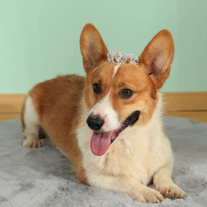 Lovelyshop Pet Series Crystal Rhinestone Dog/Cat Tiara Crown for Costume Small Dog Hair Accessories