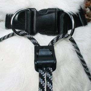 Sporn Big Dog Original Training Dog Halter Black Large