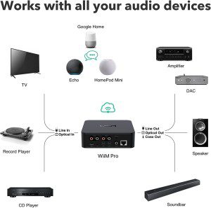 Wiim Pro Airplay 2 Receiver, Chromecast Audio, Wifi Multiroom Streamer, Works with Alexa, Siri and Google Assistant, Stream Hi-Res Audio from Spotify, Amazon Music, TIDAL and More