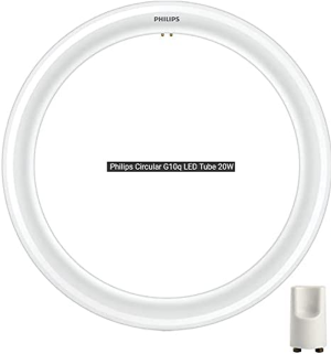 Philips 20W 2000Lm Cool Daylight Circular LED G10 G10Q Replacement Globe