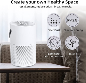 Air Purifier,Mini H13 HEPA Air Purifiers for the Home Allergies Pets Hair in Bedroom Office Living Room,Portable,Night Light,Reduce Germs,Australian Standard Power Socket