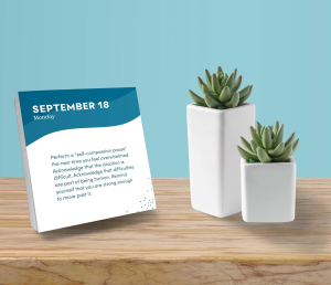 2023 Everyday Calm Boxed Calendar: 365 Days of Inspiration and Mindfulness to Reset, Refresh, and Live Better