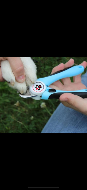 PAWFECTION PARADISE Dog Nail Clippers with Nail Filer Stainless Steel Pet Nail Clippers and Slip Resistance Trimmers for Medium and Large Dogs with Safety Guard to Avoid Over-Cutting Professional Grooming Tool for Dog Cats