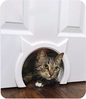 The Kitty Pass Interior Cat Door Hidden Litter Box Pet Door for Cats up to 21 Lbs