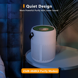 Air Purifier, Desktop Portable Purifier, 99.99% Air Clean, 3-In-1 H13 True HEPA Filter, 4 Purify Modes, Air Condition Detect, Night Light, Low Noise, Filter Replace, up to 216 Sq.Ft(20M²), Type-C Plug