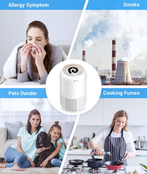 HEPA Air Purifier – Dreamegg Air Purifiers for Bedroom Allergies and Pets, 4-In-1 True HEPA & Activated Carbon Filter, Quiet 360° Air Intake Cleaner with Pet Mode Night Light for Home Smoker Office