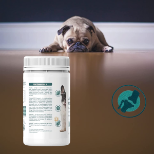 VETACTIV8 Joint Health with Rosehip, Turmeric & Vetperine | Dog Health Supplement | Contains C3, an Anti-Inflammatory | Inflammation & Pain Support | Assists Immunity & Wellbeing | Increases Absorption by 30% (150G)