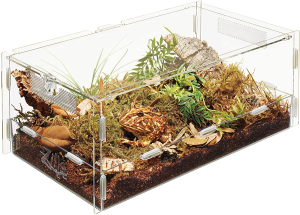 Zilla Micro Habitats Terrestrial Large