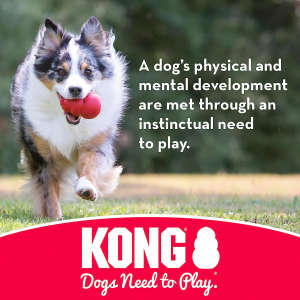 KONG – Flyer – Durable Rubber Flying Disc Dog Toy – for Large Dogs